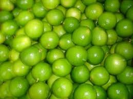 Limon sutil